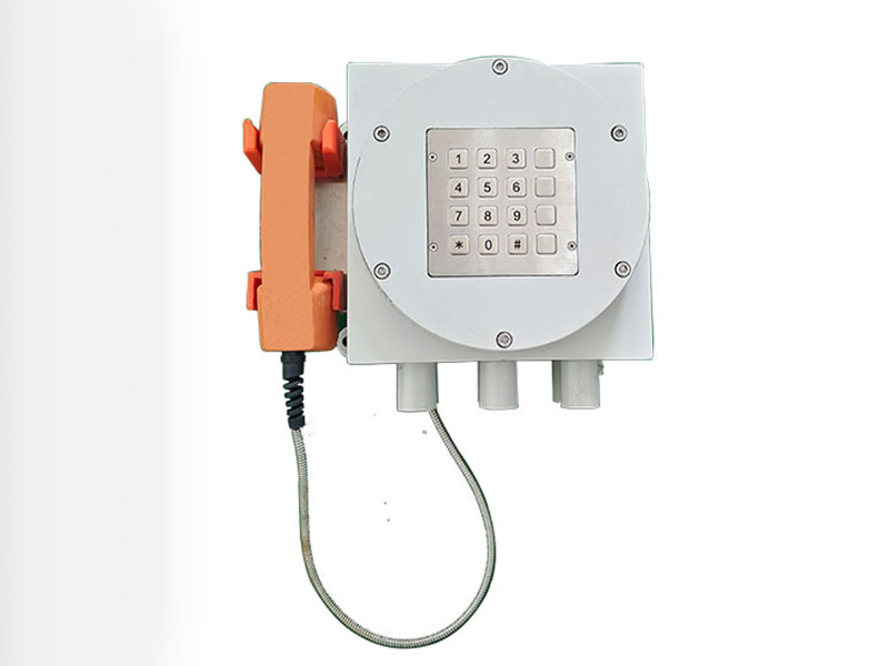 二月二 龍?zhí)ь^，恭祝大家步步高升